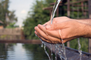 Environmentally friendly hand sanitizer